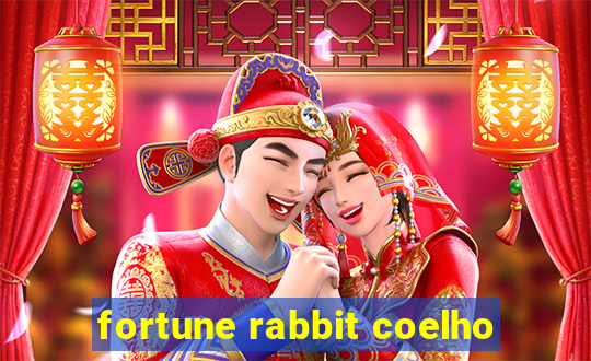 fortune rabbit coelho